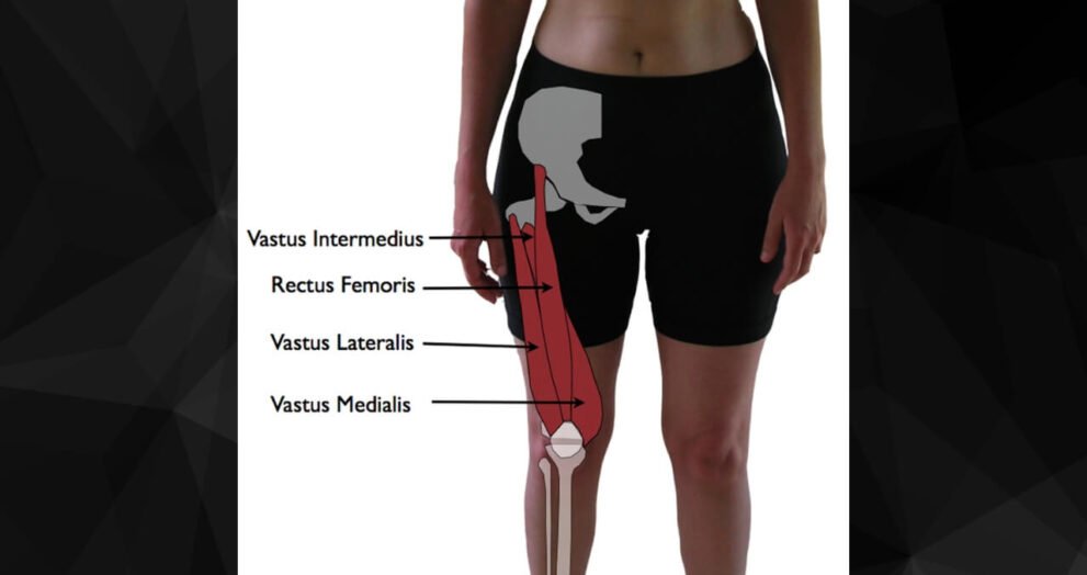 Vastus Lateralis Muscle Pain