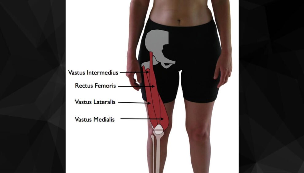 Vastus Lateralis Muscle Pain