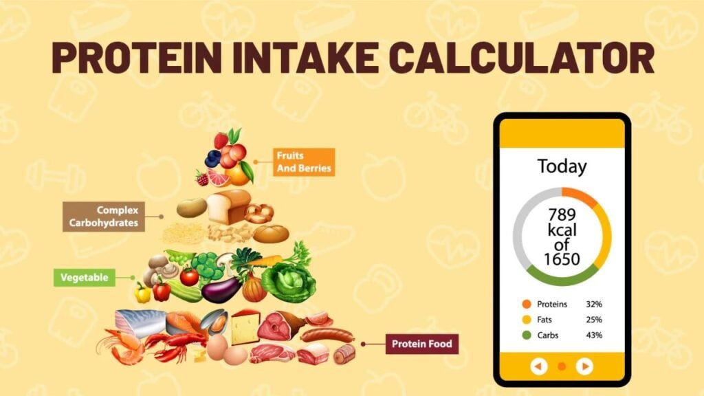 Protein Calculator for Weight Loss