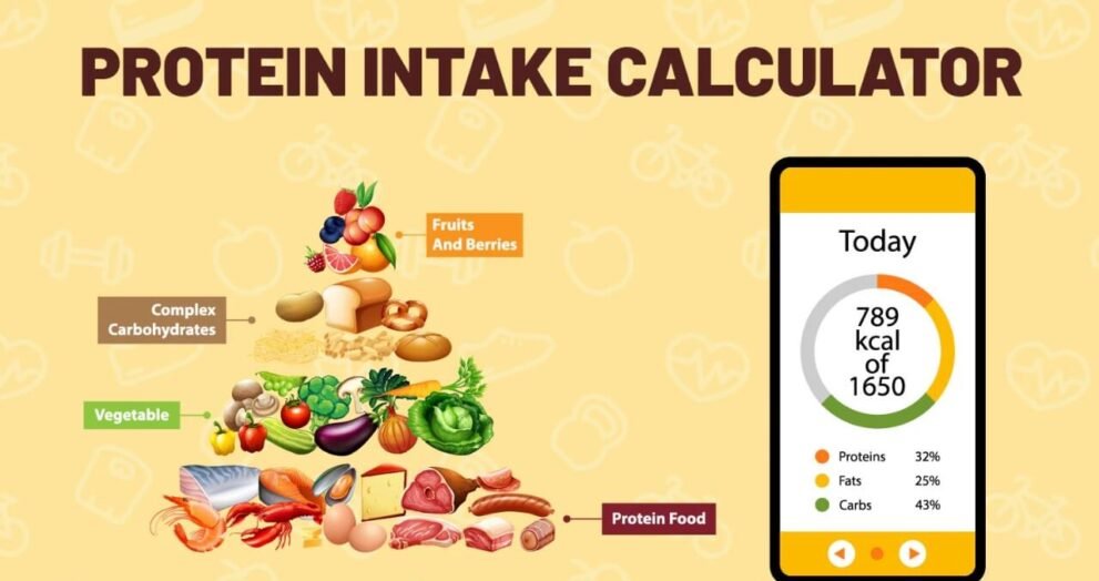 Protein Calculator for Weight Loss