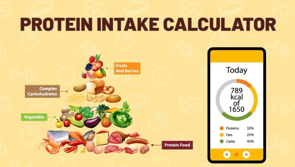 Protein Calculator for Weight Loss