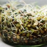 Protein Calculator for Weight Loss: Your Essential Guide to Smarter Weight Management